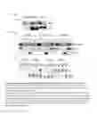 Fig. 32 - Methods for treating inflammatory responses or diseases caused by inflammation using ApoA-I binding protein (APOA1BP)