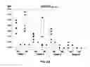 Fig. 05 - Tumor-associated peptides binding promiscuously to human leukocyte antigen (HLA) class II molecules