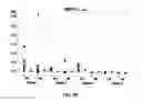 Fig. 06 - Tumor-associated peptides binding promiscuously to human leukocyte antigen (HLA) class II molecules