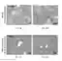 Fig. 54 - Modified FGF-21 polypeptides comprising an internal deletion and uses thereof