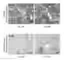 Fig. 63 - Modified FGF-21 polypeptides comprising an internal deletion and uses thereof