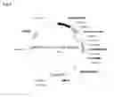 Fig. 04 - Method for Making Mature Insulin Polypeptides
