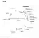 Fig. 06 - Method for Making Mature Insulin Polypeptides