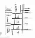 Fig. 02 - COMPOSITIONS OF HUMANIZED NOTCH FUSION PROTEINS AND METHODS OF TREATMENT