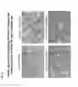 Fig. 09 - COMPOSITIONS OF HUMANIZED NOTCH FUSION PROTEINS AND METHODS OF TREATMENT