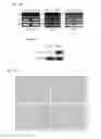 Fig. 35 - COMPOSITIONS OF HUMANIZED NOTCH FUSION PROTEINS AND METHODS OF TREATMENT