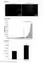 Fig. 47 - COMPOSITIONS OF HUMANIZED NOTCH FUSION PROTEINS AND METHODS OF TREATMENT