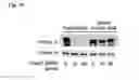 Fig. 60 - COMPOSITIONS OF HUMANIZED NOTCH FUSION PROTEINS AND METHODS OF TREATMENT