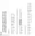 Fig. 67 - COMPOSITIONS OF HUMANIZED NOTCH FUSION PROTEINS AND METHODS OF TREATMENT