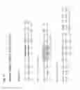 Fig. 69 - COMPOSITIONS OF HUMANIZED NOTCH FUSION PROTEINS AND METHODS OF TREATMENT