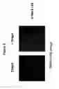 Fig. 04 - Proteolytic release of cell surface antigens for phage biopanning