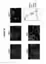 Fig. 11 - Proteolytic release of cell surface antigens for phage biopanning