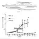 Fig. 14 - Targeting agent antibody conjugates and uses thereof