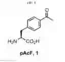 Fig. 15 - Targeting agent antibody conjugates and uses thereof