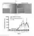 Fig. 18 - Targeting agent antibody conjugates and uses thereof