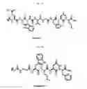 Fig. 27 - Targeting agent antibody conjugates and uses thereof