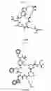 Fig. 28 - Targeting agent antibody conjugates and uses thereof
