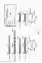 Fig. 03 - HIGH FUNCTIONAL BISPECIFIC ANTIBODY