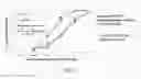 Fig. 18 - HIGH FUNCTIONAL BISPECIFIC ANTIBODY