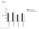 Fig. 04 - CD20 Antibodies and Uses Thereof