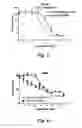 Fig. 11 - CD138-targeted interferon demonstrates potent apoptotic and anti-tumor activities