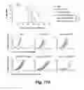 Fig. 23 - CD138-targeted interferon demonstrates potent apoptotic and anti-tumor activities