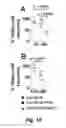 Fig. 25 - CD138-targeted interferon demonstrates potent apoptotic and anti-tumor activities