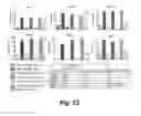 Fig. 28 - CD138-targeted interferon demonstrates potent apoptotic and anti-tumor activities