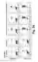 Fig. 31 - CD138-targeted interferon demonstrates potent apoptotic and anti-tumor activities