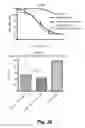 Fig. 34 - CD138-targeted interferon demonstrates potent apoptotic and anti-tumor activities