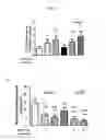 Fig. 03 - Methods for inhibiting atherosclerosis by administering an inhibitor of PCSK9
