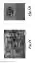 Fig. 04 - Coating compositions and coating products made therefrom