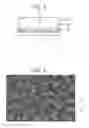 Fig. 03 - Pressure-sensitive adhesive sheet having a transparent pressure-sensitive adhesive layer