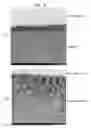 Fig. 08 - Pressure-sensitive adhesive sheet having a transparent pressure-sensitive adhesive layer