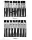 Fig. 03 - Composition and method for dispersing paraffins in crude oils