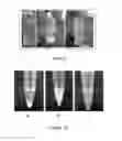 Fig. 06 - Composition and method for dispersing paraffins in crude oils