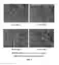 Fig. 02 - Yellow-green to yellow-emitting phosphors based on terbium-containing aluminates
