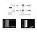 Fig. 02 - Technologies, Methods, and Products of Small Molecule Directed Tissue and Organ Regeneration from Human Pluripotent Stem Cells