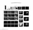 Fig. 05 - Technologies, Methods, and Products of Small Molecule Directed Tissue and Organ Regeneration from Human Pluripotent Stem Cells