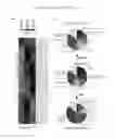 Fig. 06 - Technologies, Methods, and Products of Small Molecule Directed Tissue and Organ Regeneration from Human Pluripotent Stem Cells