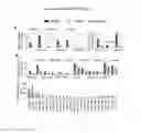 Fig. 07 - Technologies, Methods, and Products of Small Molecule Directed Tissue and Organ Regeneration from Human Pluripotent Stem Cells