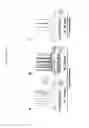 Fig. 12 - Cortical interneurons and other neuronal cells produced by the directed differentiation of pluripotent and multipotent cells