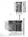 Fig. 03 - Method for producing differentiated cells