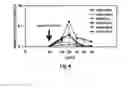 Fig. 05 - Method for producing differentiated cells