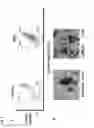 Fig. 09 - Method for producing differentiated cells