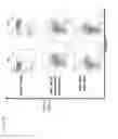 Fig. 20 - Method for producing differentiated cells