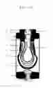 Fig. 06 - In Vitro Growth of Tissues Suitable to the Formation of Bone and Bone Forming Tissue Formed Thereby