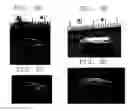 Fig. 09 - In Vitro Growth of Tissues Suitable to the Formation of Bone and Bone Forming Tissue Formed Thereby