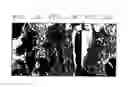 Fig. 11 - In Vitro Growth of Tissues Suitable to the Formation of Bone and Bone Forming Tissue Formed Thereby
