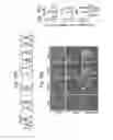 Fig. 22 - Differentiation and expansion of endothelial cells from pluripotent stem cells and the in vitro formation of vasculature like structures